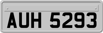 AUH5293