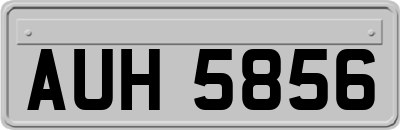 AUH5856