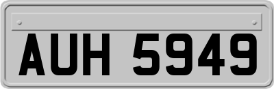 AUH5949