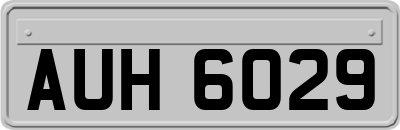 AUH6029