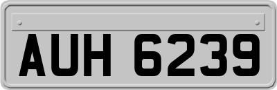 AUH6239