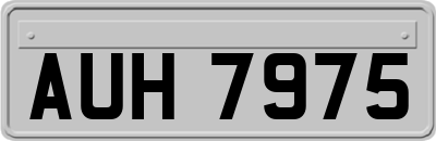 AUH7975