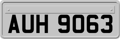 AUH9063