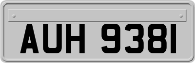AUH9381