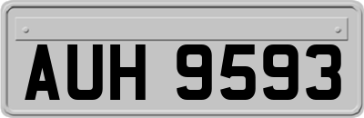 AUH9593