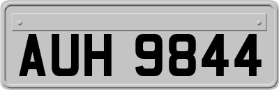 AUH9844