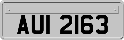 AUI2163