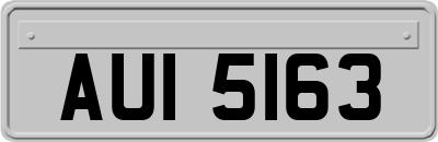 AUI5163
