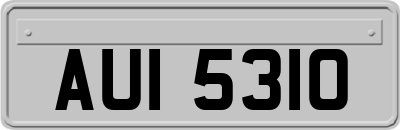 AUI5310