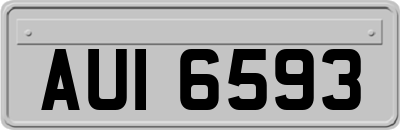 AUI6593