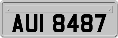 AUI8487
