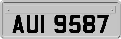 AUI9587