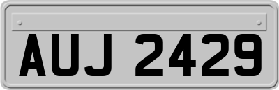 AUJ2429