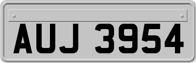 AUJ3954