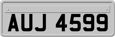 AUJ4599