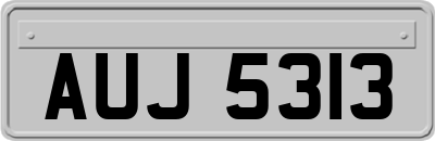 AUJ5313