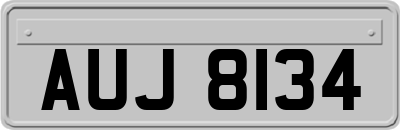AUJ8134
