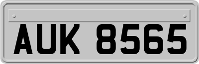 AUK8565