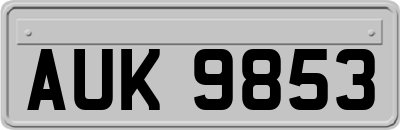 AUK9853