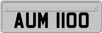 AUM1100