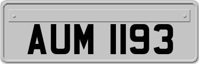 AUM1193