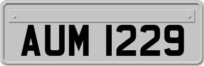 AUM1229