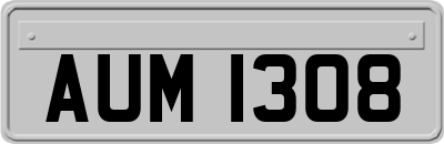 AUM1308