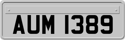 AUM1389