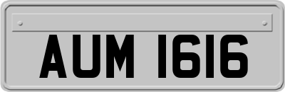 AUM1616