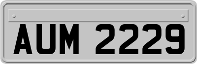AUM2229