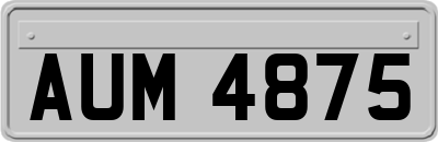 AUM4875