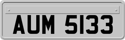 AUM5133