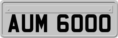 AUM6000
