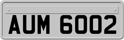 AUM6002