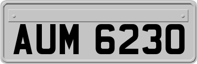AUM6230