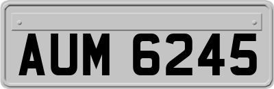 AUM6245