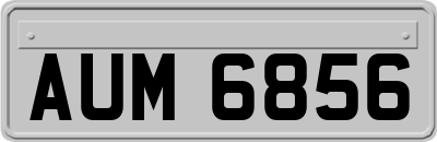 AUM6856