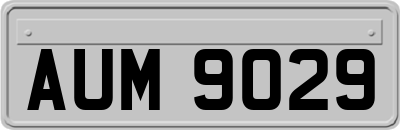 AUM9029