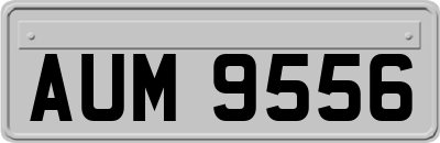 AUM9556