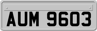 AUM9603