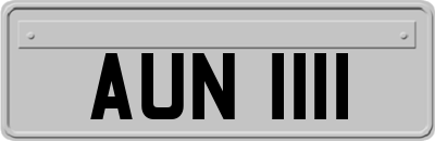 AUN1111
