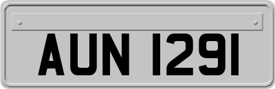 AUN1291
