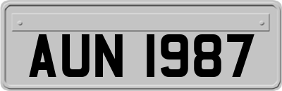 AUN1987