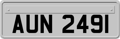 AUN2491