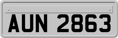 AUN2863