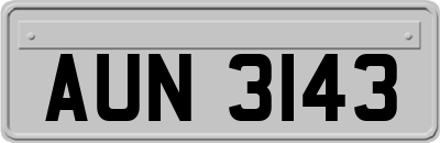 AUN3143