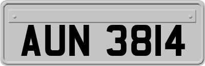 AUN3814