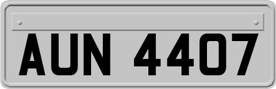 AUN4407