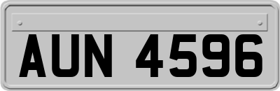 AUN4596