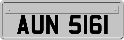 AUN5161